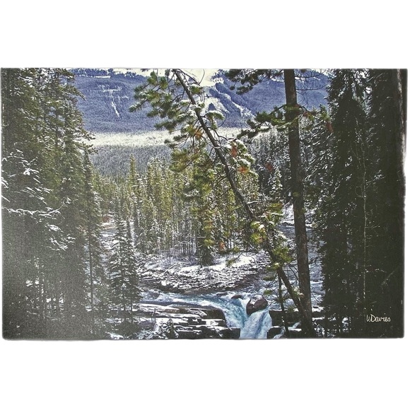 🍒Free Gift with 3+ items purchased🍒. Original Artist Photography on Canvas - Picture 3 of 9